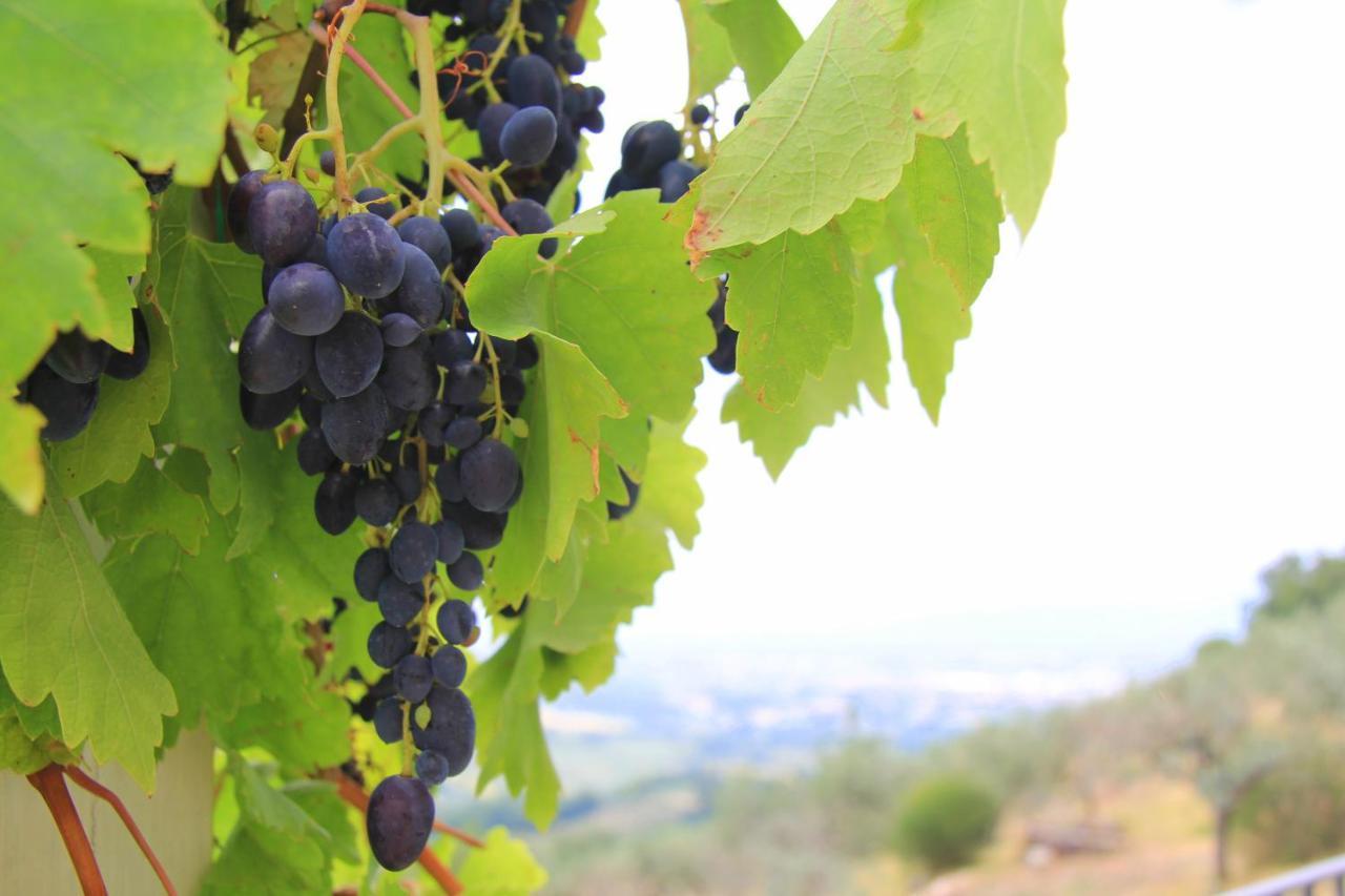 Penzion Pekko Spello Exteriér fotografie