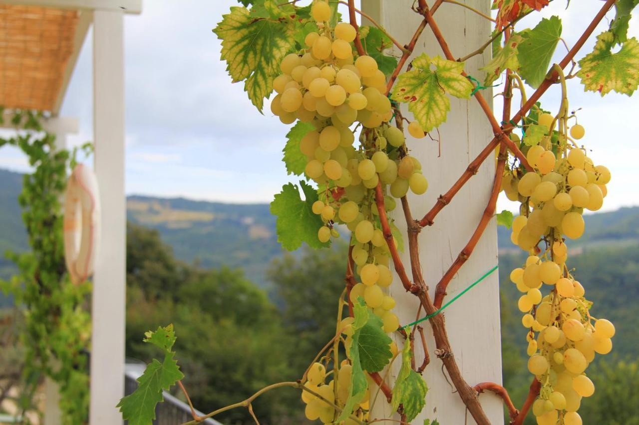 Penzion Pekko Spello Exteriér fotografie